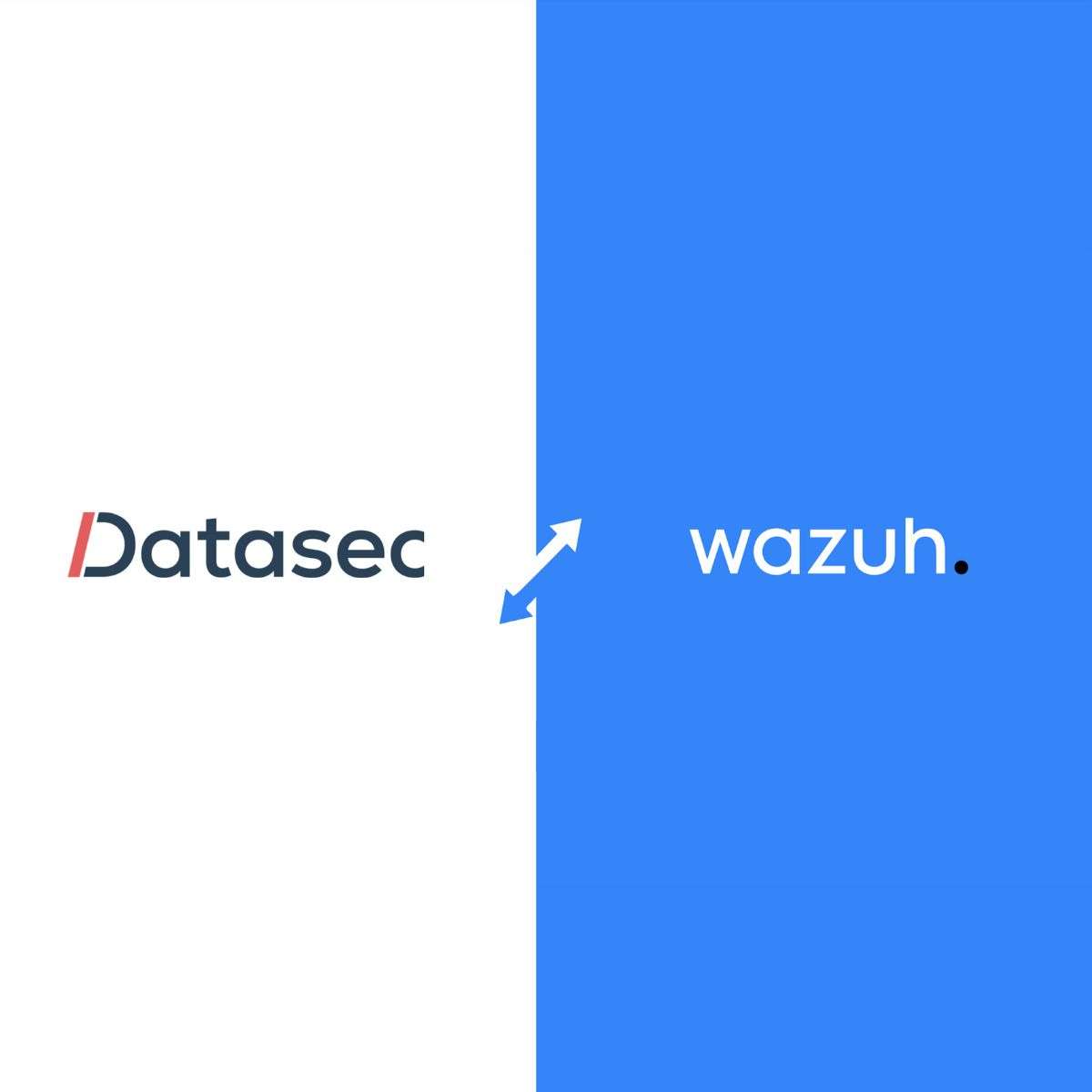 Datasec y Wazuh refuerzan su alianza estratégica para proteger entornos digitales